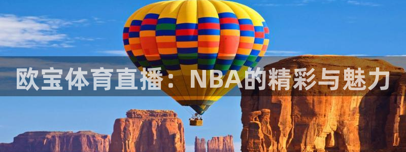 雨燕360直播nba免费观看