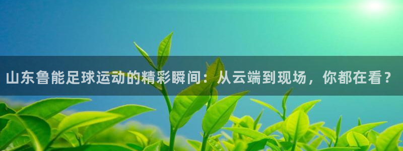 雨燕360体育免费直播nba回放