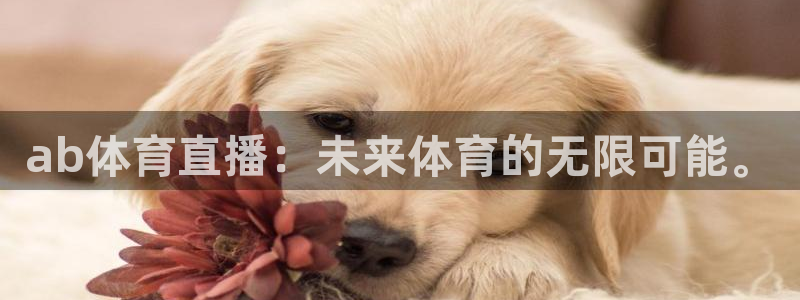 体育新闻