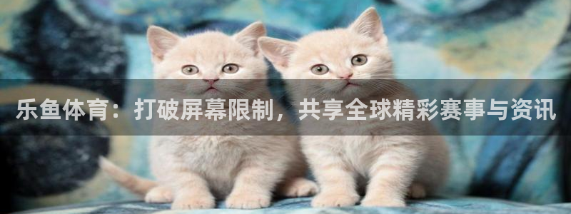 雨燕360体育在线直播手机版