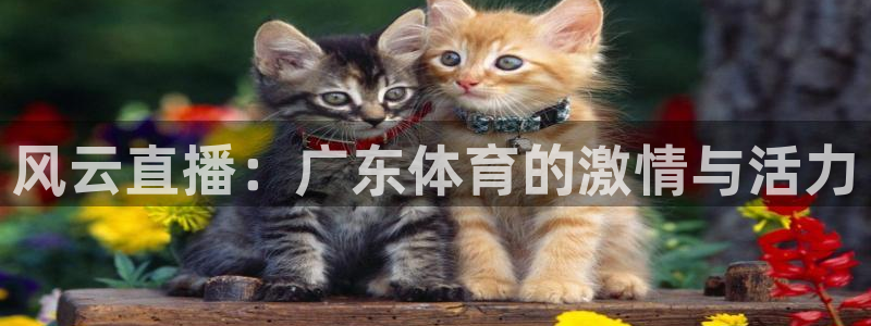 体育新闻