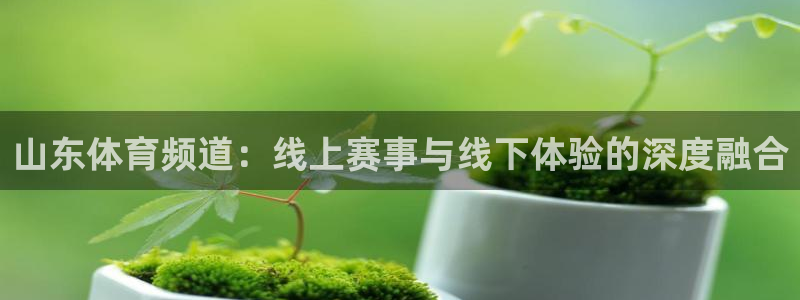 雨燕360体育赛事直播