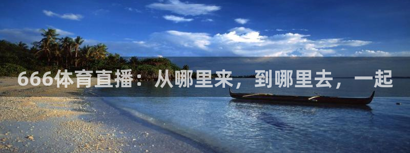 体育新闻