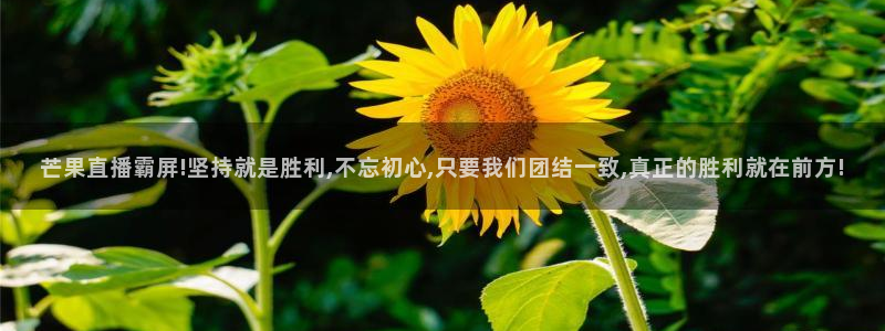 体育新闻